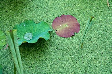 《受折磨的灵魂》主机版发售期公布 以《生化危机》为灵感创作